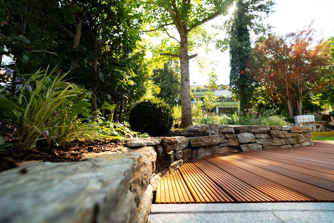 Ce que les vendeurs de produits ne vous disent jamais pour nettoyer votre terrasse en bois
