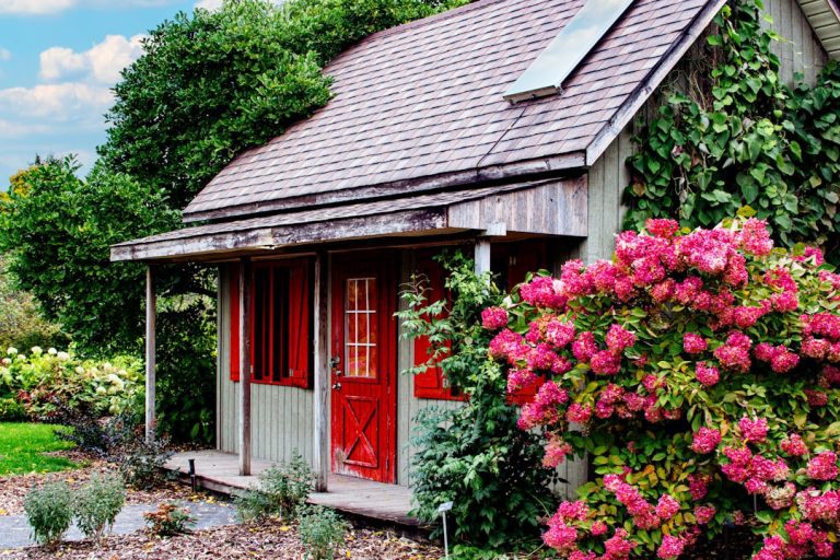 Où trouver une petite maison avec jardin à louer pas cher ?