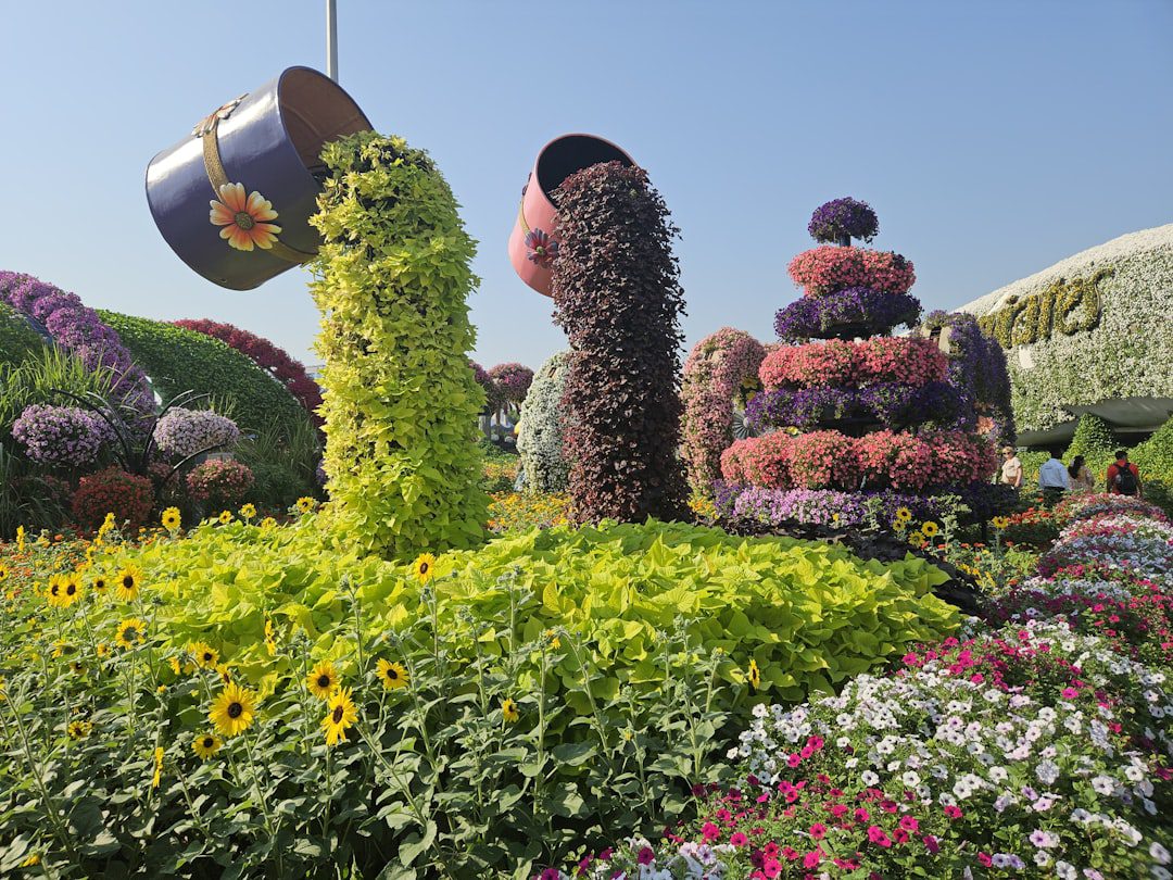 Aménager sa serre de jardin avec style pour moins de 200 euros