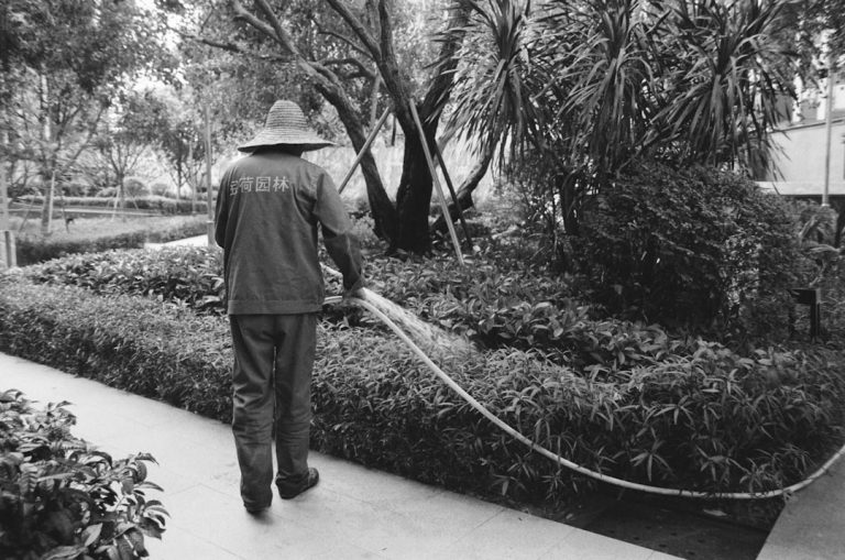 Comment choisir son taille-haie Ryobi selon votre jardin en 4 étapes
