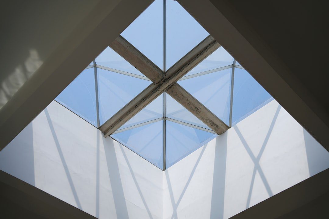 Comment nettoyer vos Velux sans vous ruiner ?