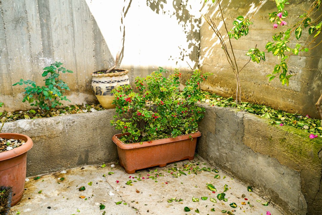 Aménager le jardin de sa location comme un pro