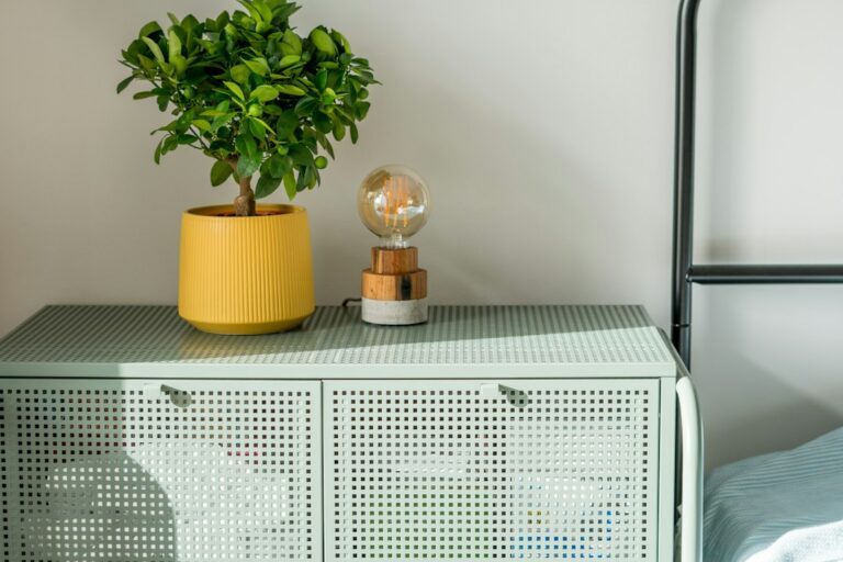 Où acheter un petit meuble de rangement pas cher ?