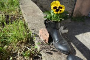 Quels pots de fleurs extérieurs choisir sans se ruiner ?