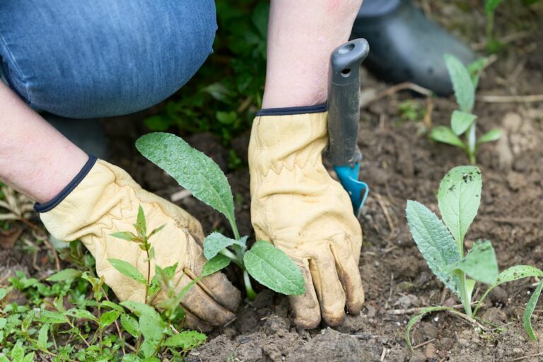 Comment bien utiliser une binette au jardin ?